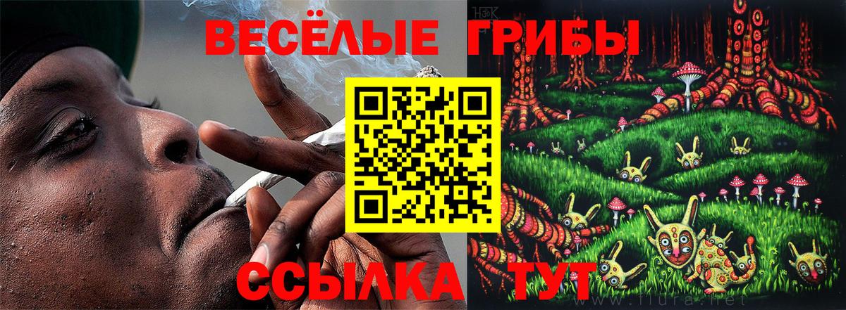 Видное  Псилоцибиновые грибы ЛСД  купить  сайты  Вход с VPN 